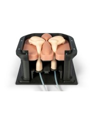 Simulatore chirurgico per castrazione equina Erler Zimmer EZ VET4810