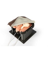 Simulatore chirurgico per castrazione equina Erler Zimmer EZ VET4810