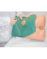 Simulatore per iniezioni Intramuscolo e biopsia della cresta iliaca Erler Zimmer 7090