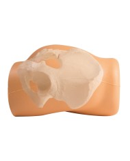 Simulatore per iniezioni Intramuscolo e biopsia della cresta iliaca Erler Zimmer 7090