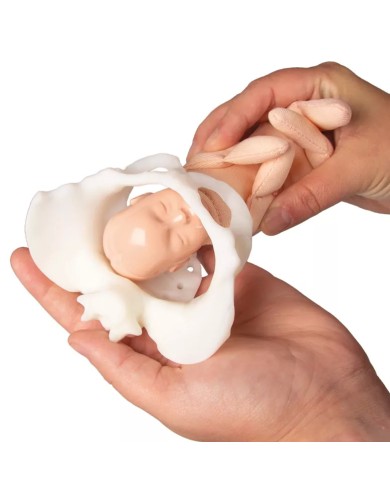 Mini bacino femminile con bambola per simulazione del parto EZ 4082