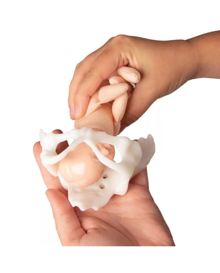 Mini bacino femminile con bambola per simulazione del parto EZ 4082