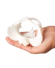 Mini bacino femminile con bambola per simulazione del parto EZ 4082