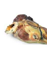 Emisezione sagittale della testa del cane Erler Zimmer VP9020