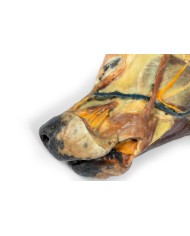 Emisezione sagittale della testa del cane Erler Zimmer VP9020