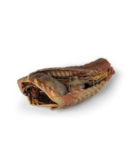 Cavit toracica del cane lato destro Erler Zimmer VP9040