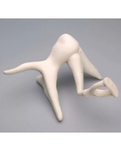 Catena ossicini dell’udito Erler Zimmer EZ-E130