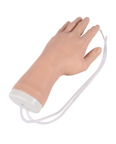 Mano simulatore per iniezioni endovenose Erler Zimmer EZ-8035
