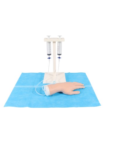 Mano simulatore per iniezioni endovenose Erler Zimmer EZ-8035