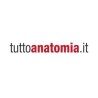 Tuttoanatomia