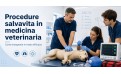 Simulazione veterinaria e procedure salvavita: preparare studenti e professionisti alle emergenze