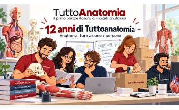 Tuttoanatomia compie 12 anni: dodici anni dedicati all’anatomia, alla formazione e alle persone