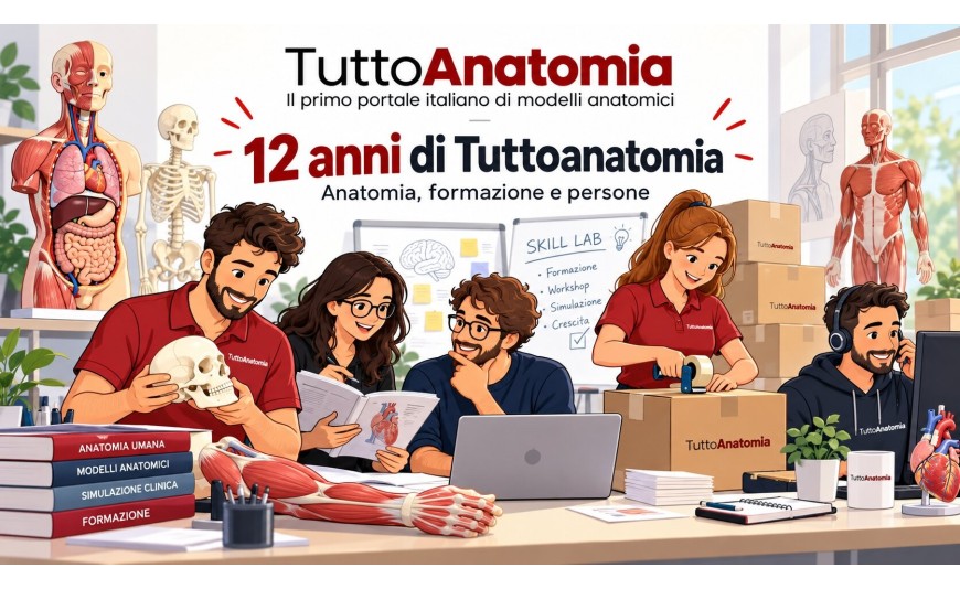Tuttoanatomia compie 12 anni: dodici anni dedicati all’anatomia, alla formazione e alle persone